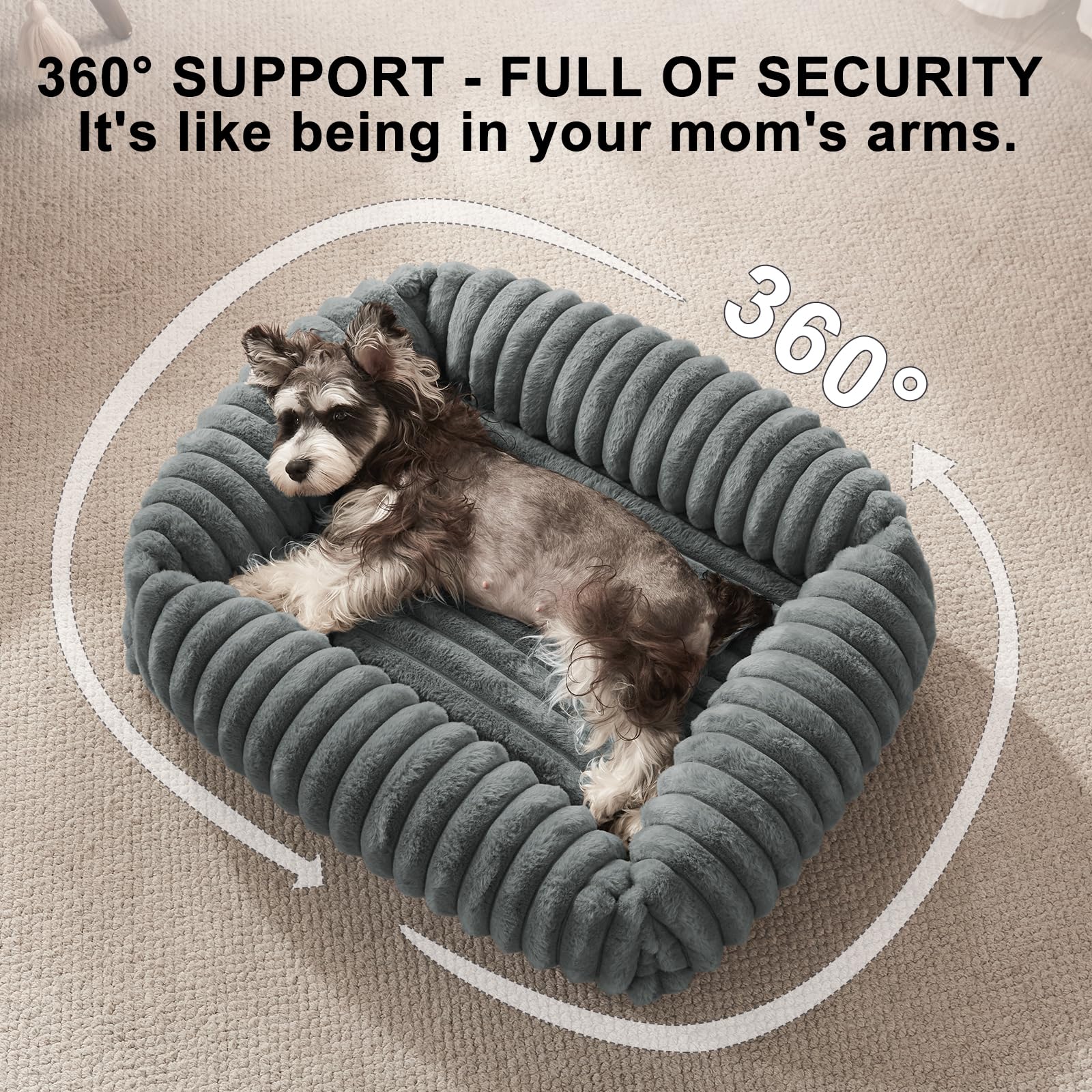 https://m.media-amazon.com/images/I/81EBZVkLlgL.jpg