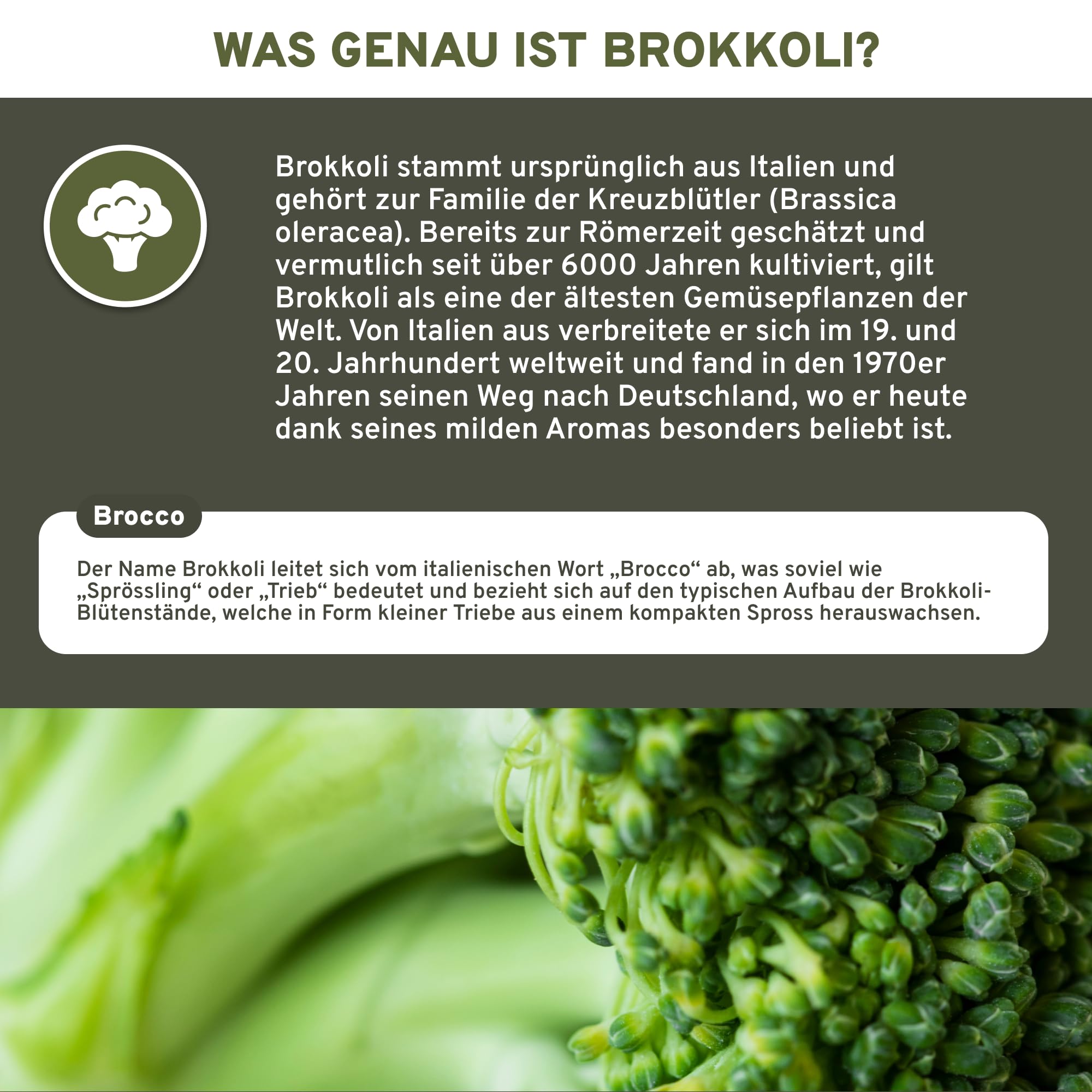 QIDOSHA® Brokkoli Extrakt hochdosiert, 13% Sulforaphan, 180 Kapseln im Apothekerglas, deutsche Fertigung, jede Charge laborgeprüft