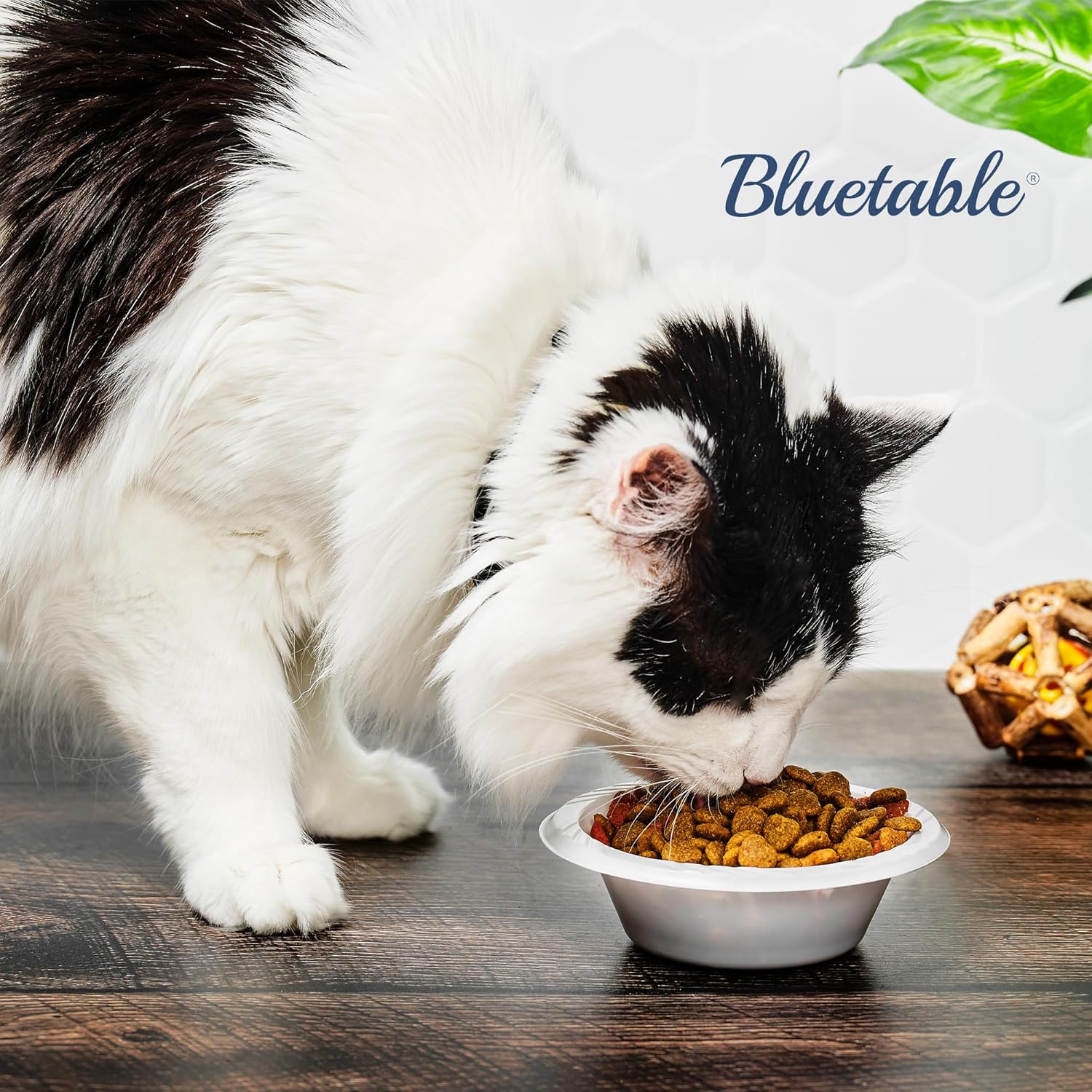 Bluetable 5 oz Bowls Plastic Small Bulk Case Pack (800 Count) Disposable Bowl White – for Party Dessert Mini Bowls Soup & Horderves Great for Paint Project Small Bulk [800 Pack/Case]