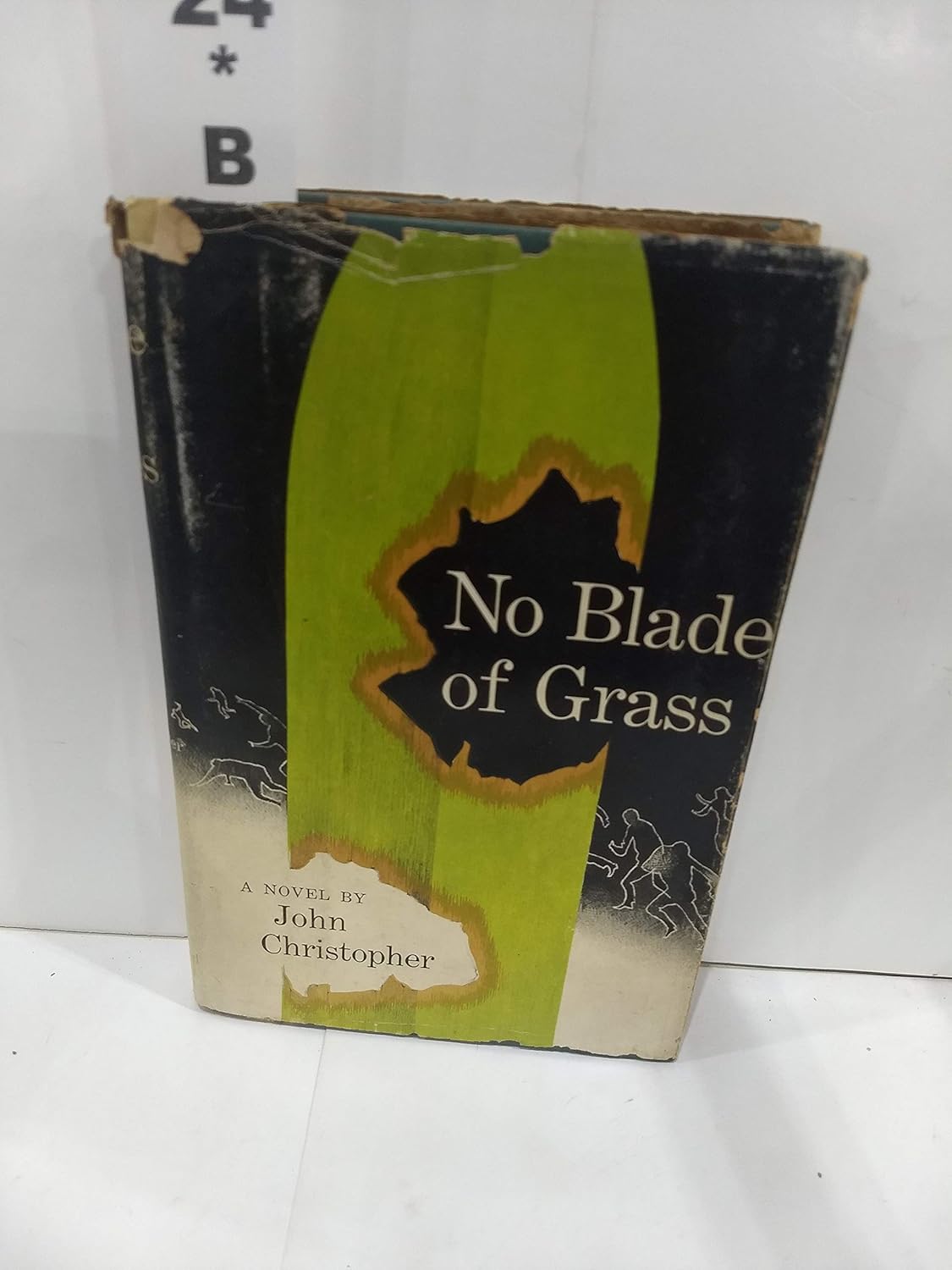 No Blade of Grass Books Amazon.ca
