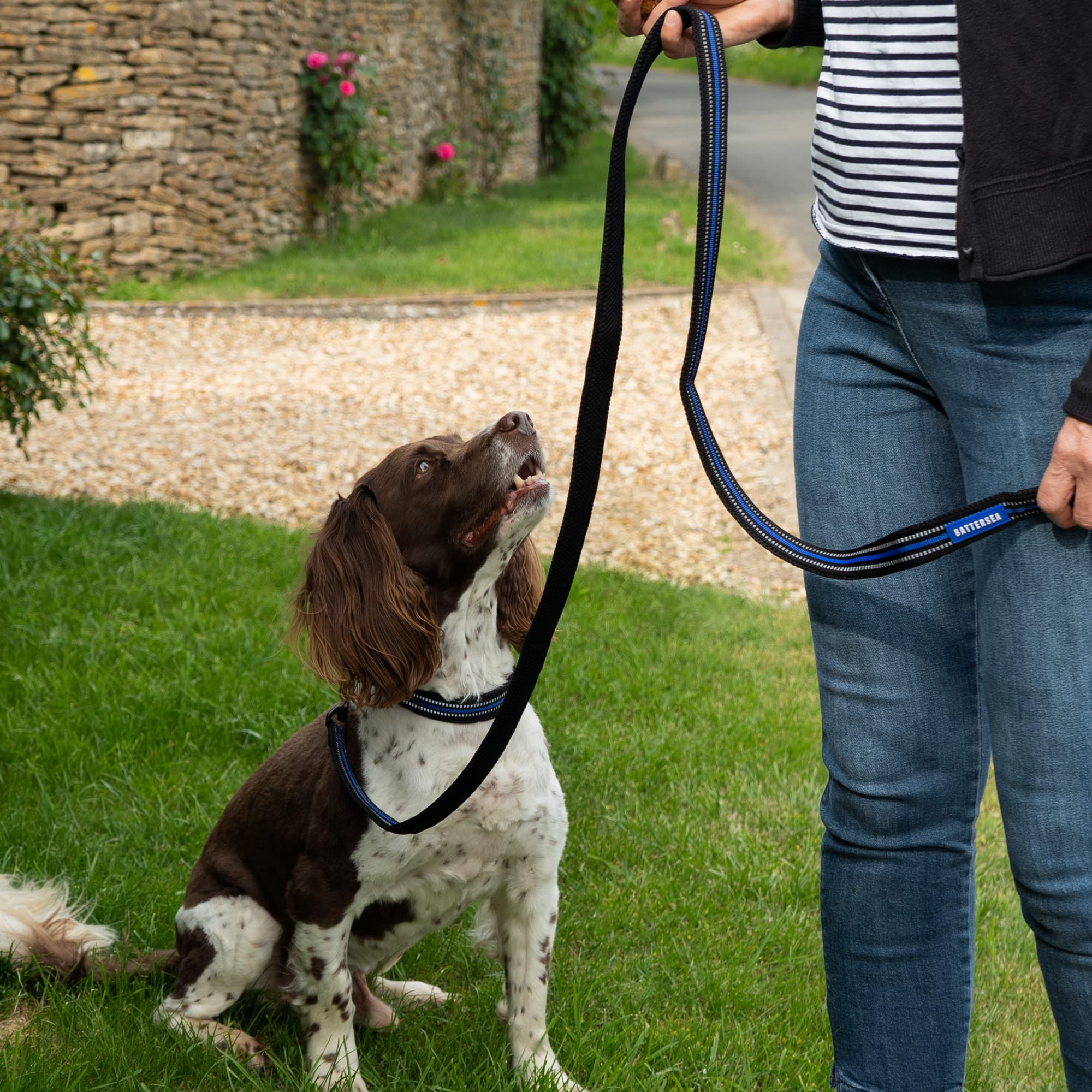 Battersea Reflektierendes Hundehalsband, Größe L, Blau – Verstellbar, Gepolstert, Mit Edelstahlring