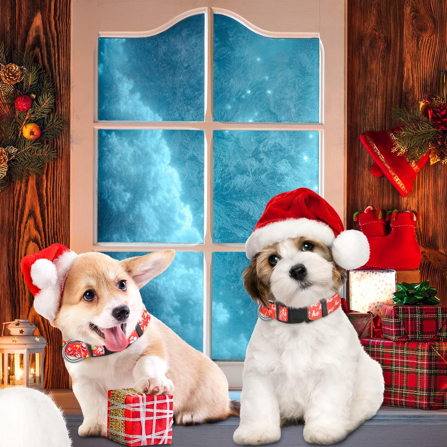 6 Pcs Christmas Dog Collars Holiday Pet Collars Funny Puppy Collars Adjustable Dog Collars Comfortable Basic Dog Collars with Plastic Buckle for Small Medium Large Puppy Dogs Pets (Small) : Pet Supplies