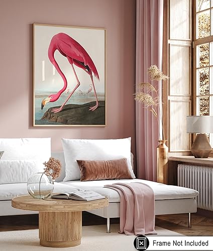 Miniatura 6 de Poster Master Póster vintage de flamenco americano, estampado retro de flamenco rosa, arte de pájaro, regalo para él, ella, amante de los animales,