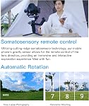 FeiyuTech SCORP 2 Stabilisateur Gimbal pour DSLR et caméra sans miroir, suivi Al intégré, 3-Axis Stabilisateur pour appareil photo pour Sony Canon Fuji Nikon, 5.5lbs Prise de vue verticale de l'écran tactile de charge