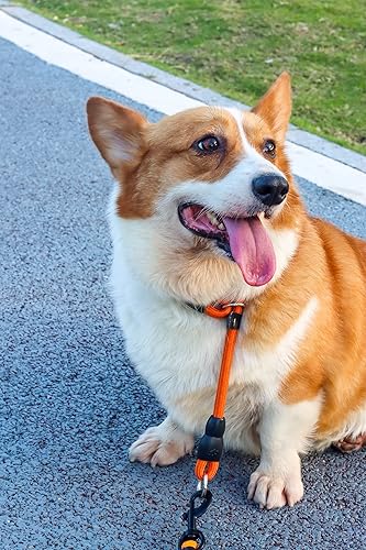 Miniatura 5 de LOS ANDES Collar antideslizante para perro, collar antitirones para perros, collares deslizantes con tapón deslizable, collar de entrenamiento para