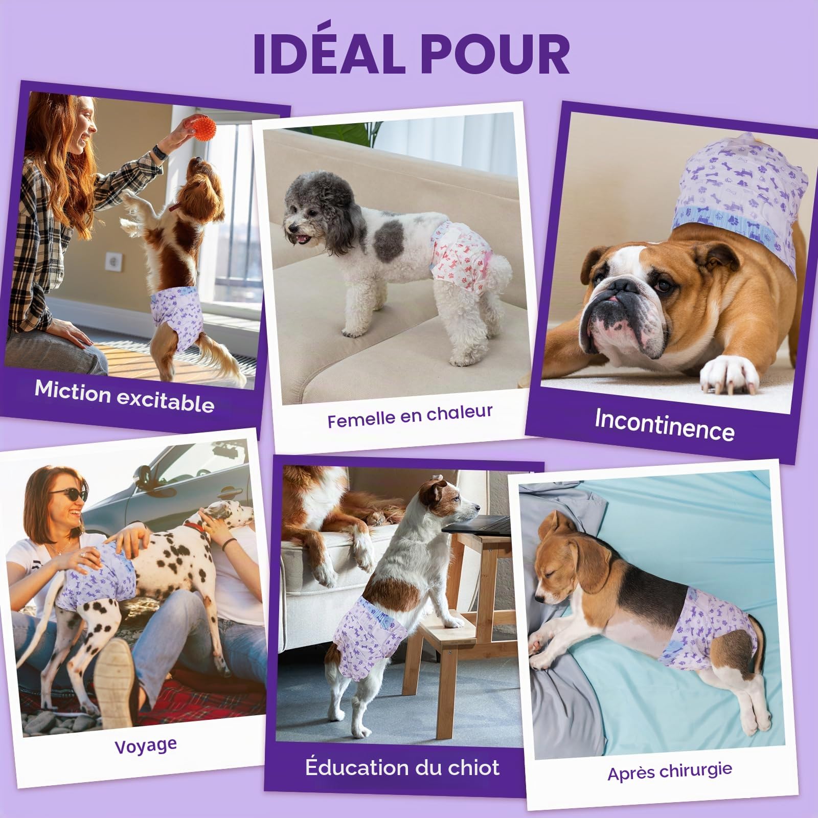 MICOOYO Couche pour Chien Femelle, Couches Jetables pour Chiennes avec Ouverture de Queue Réglable, Couche Chat pour Chats, Chiots, Chiots en Saison (50, S)