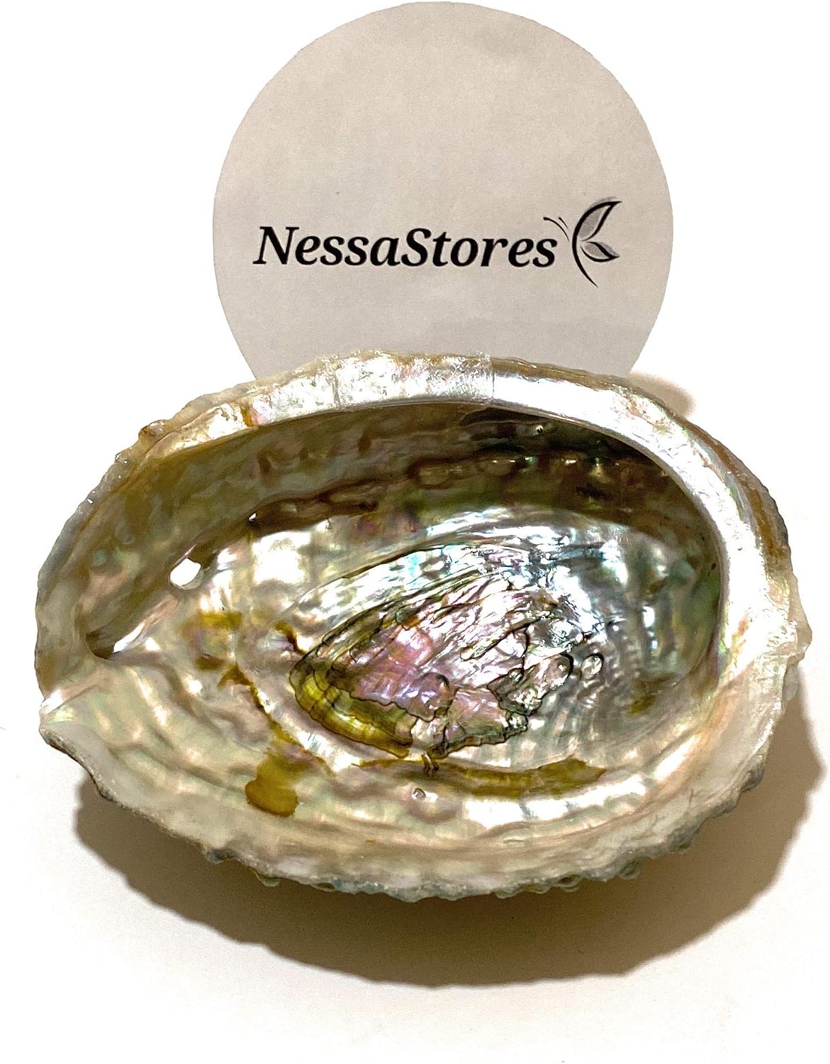 NessaStores - Pink Abalone Sea Shell One Side Polished Beach Craft 4" - 5" #JC-011 (1 pc)
