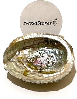 NESSASTORES - Pink Abalone Sea Shell One Side Polished Beach Craft 4" - 5" #JC-011 (1 pc)