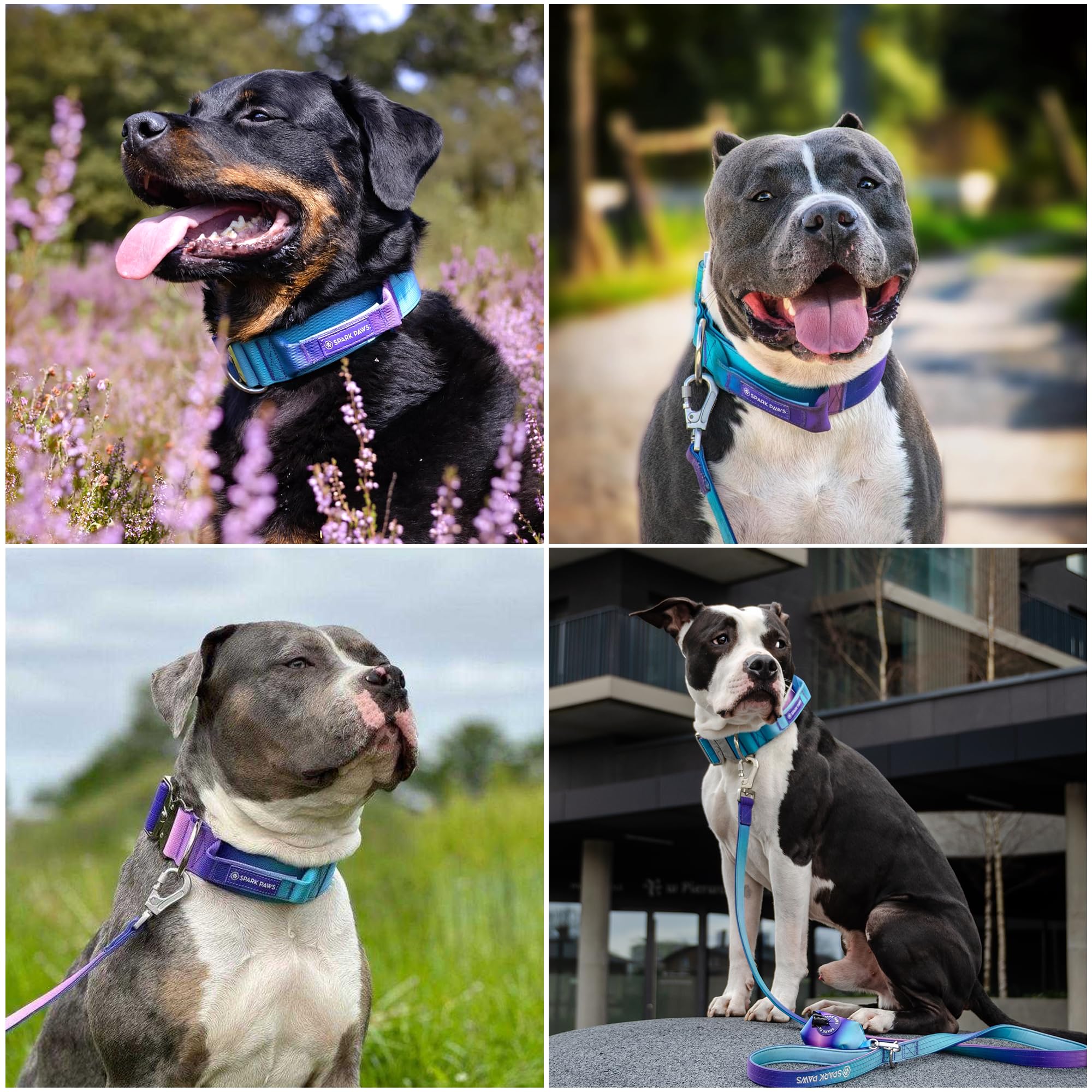 Spark Paws Collar táctico para perro, resistente, calidad premium, grueso y duradero para perros grandes y medianos, retro de los años 90, M