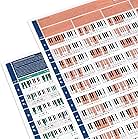 The Really Useful Piano Chord Bundle - Piano Poster Bundle (Set of 2) - Illustrated Piano Chords and Scales - Learn Piano and Music Theory - Piano Beginners - A1 Size - Folded Version