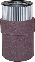 Solberg 235Pâ„¢ Polyester Filter Cartridge, Blower, Vaccum Pump, 9-5/8