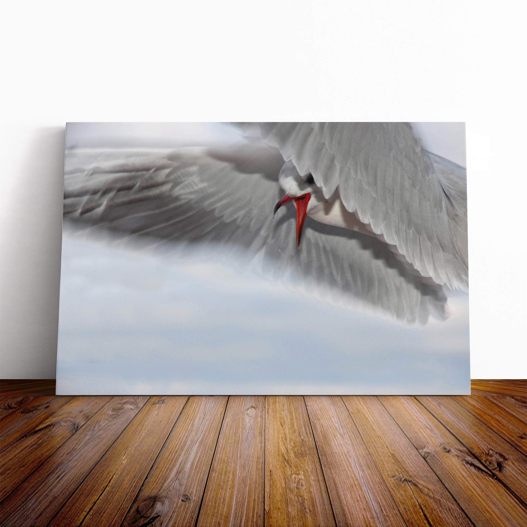 Seagull Bird (1) Canvas Print | Gallery Wrapped 30mm Frame Wall Art | 30x20 inches | Ready to Hang | Modern Animals Picture | Living Room Bedroom Lounge Office