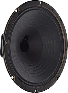 Jensen Vintage P10R16 10-Inch Alnico Speaker, 16 Ohm