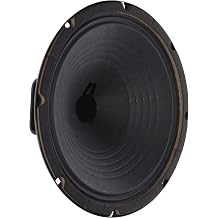Jensen Vintage P10R16 10-Inch Alnico Speaker, 16 Ohm