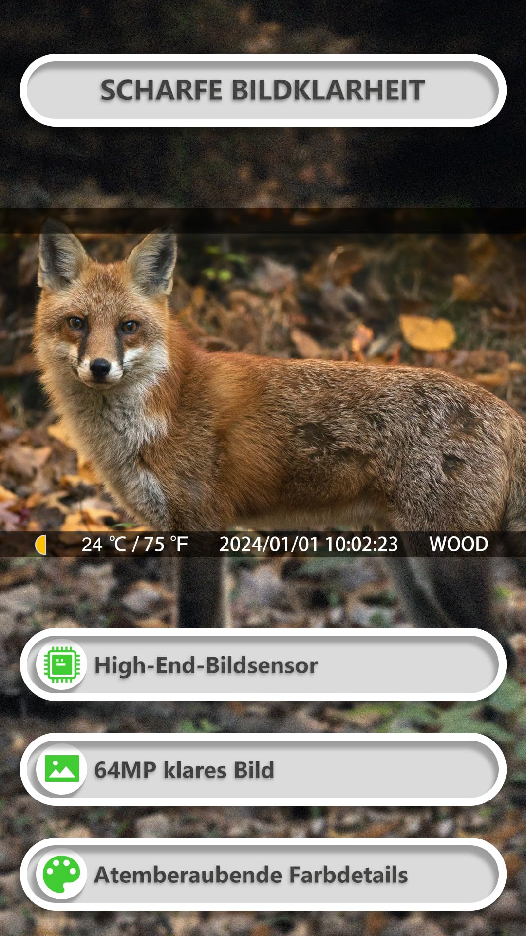 GardePro E8P Max Wildkamera WLAN 8000mAh Akku 64MP 1296P Nachtsicht Bewegungsmelder