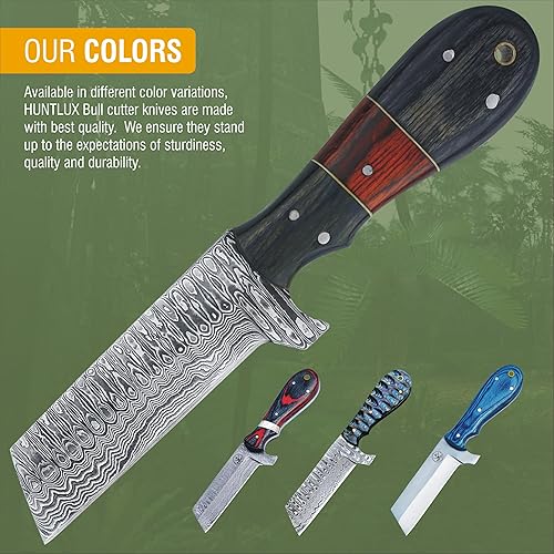 Miniatura 6 de Cuchillo de caza de acero de Damasco con funda para cinturón, cuchillo cortador de toros afilado hecho a mano de 8 pulgadas, cuchillo de hoja fija