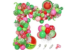 Ouddy Party Harry Styles Watermelon Party Decorations