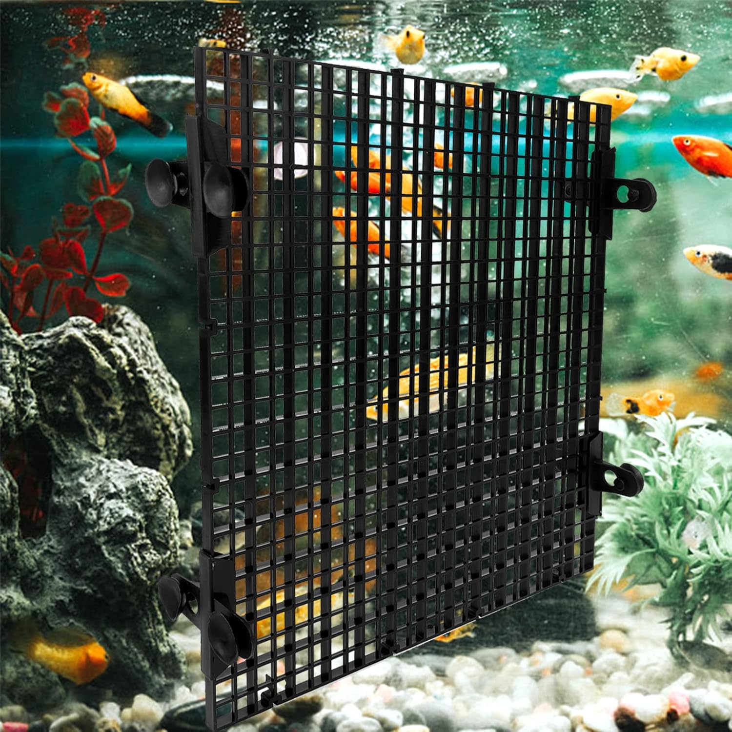 Haishell 6 Pcs Aquarium Fish Tank Divider Aquarium Filter Grid Divider