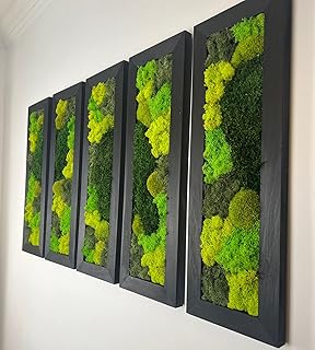 Moss Wall Art | Preserved Moss Art Framed | Moss Wall Decor | Moss Wall Sets | Large Rectangle Single to Six Set | Reindeer Moss Pole Moss (Black, Set of Six)