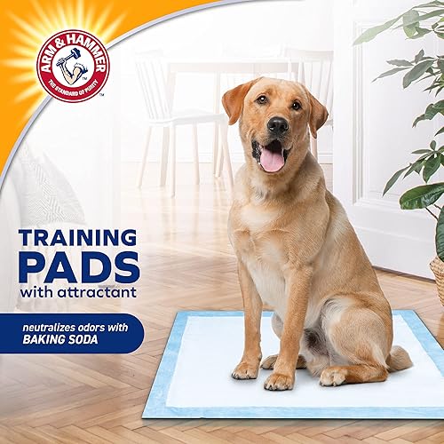 Miniatura 2 de Arm & Hammer Almohadillas de entrenamiento para cachorros con atractivo  Nuevo y mejorado súper absorbente, a prueba de fugas, control de olores