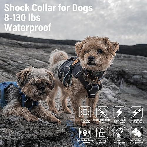 Miniatura 4 de Collar de choque para perro, exclusivo modo de bloqueo de prohibición de golpes, collar de entrenamiento para perros con 209 niveles de control, 5