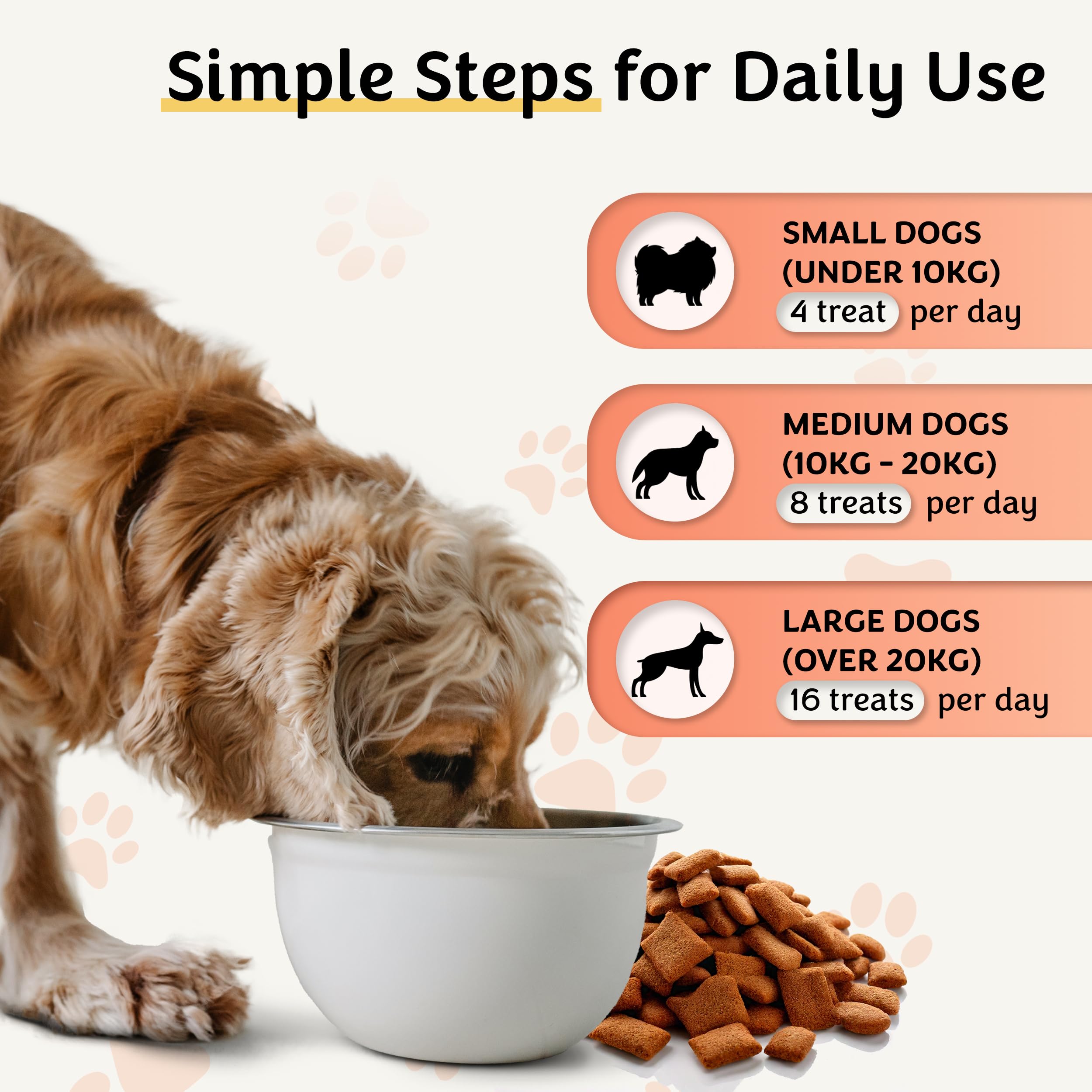 Belly Biotics: Präbiotischer, probiotischer und postbiotischer 3-in-1 Hundesnack – bei übermäßigem Pfotenlecken, Juckreiz und Verdauungsproblemen – 1 B KBE – 360 Leckerlis