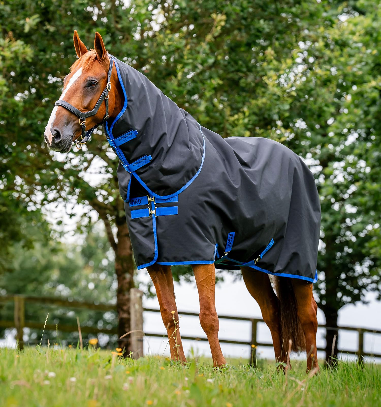 Manta Amigo Ripstop 900 Plus Turnout 100g para caballo en color negro y azul