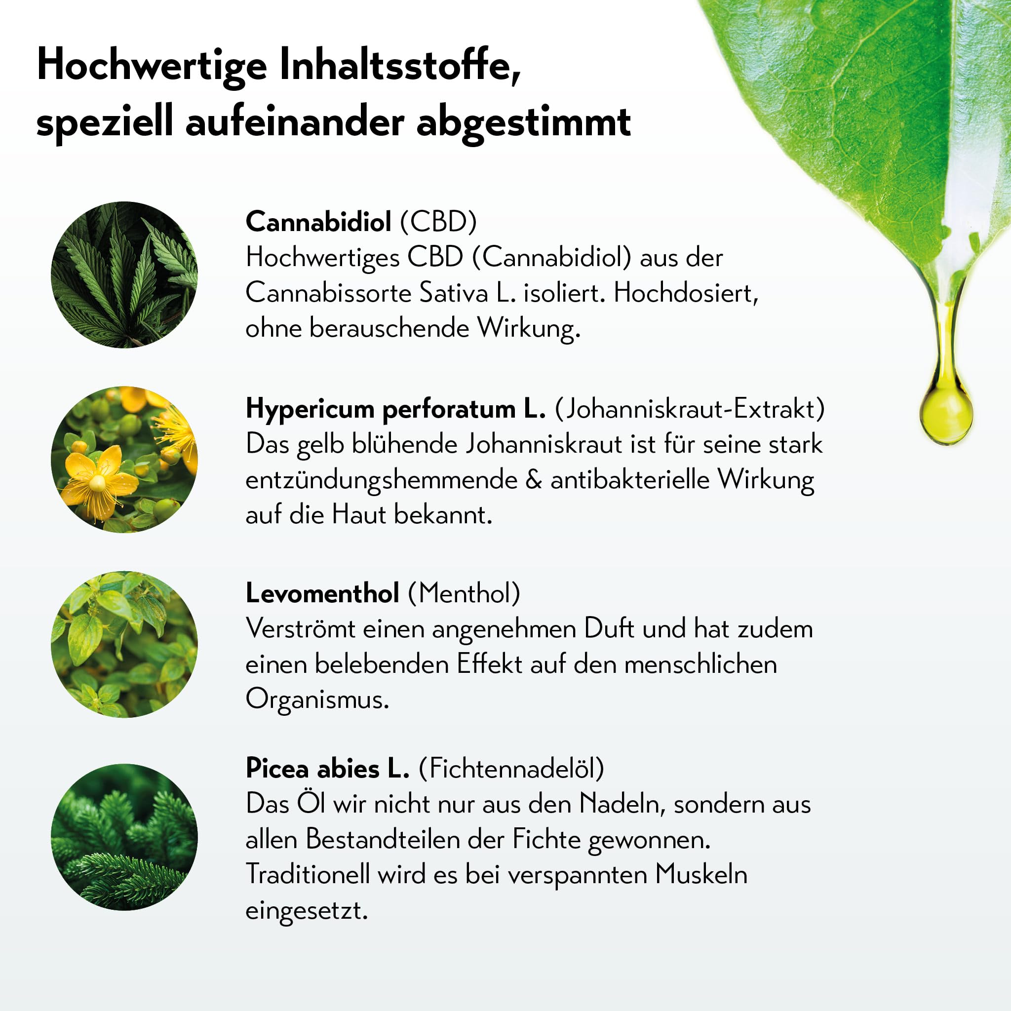 Restaxil® CBD Gel - mit reinem CBD angereichertes, kühlendes Gel – enthaltenes Menthol unterstützt beanspruchte Muskelpartien - 120 ml
