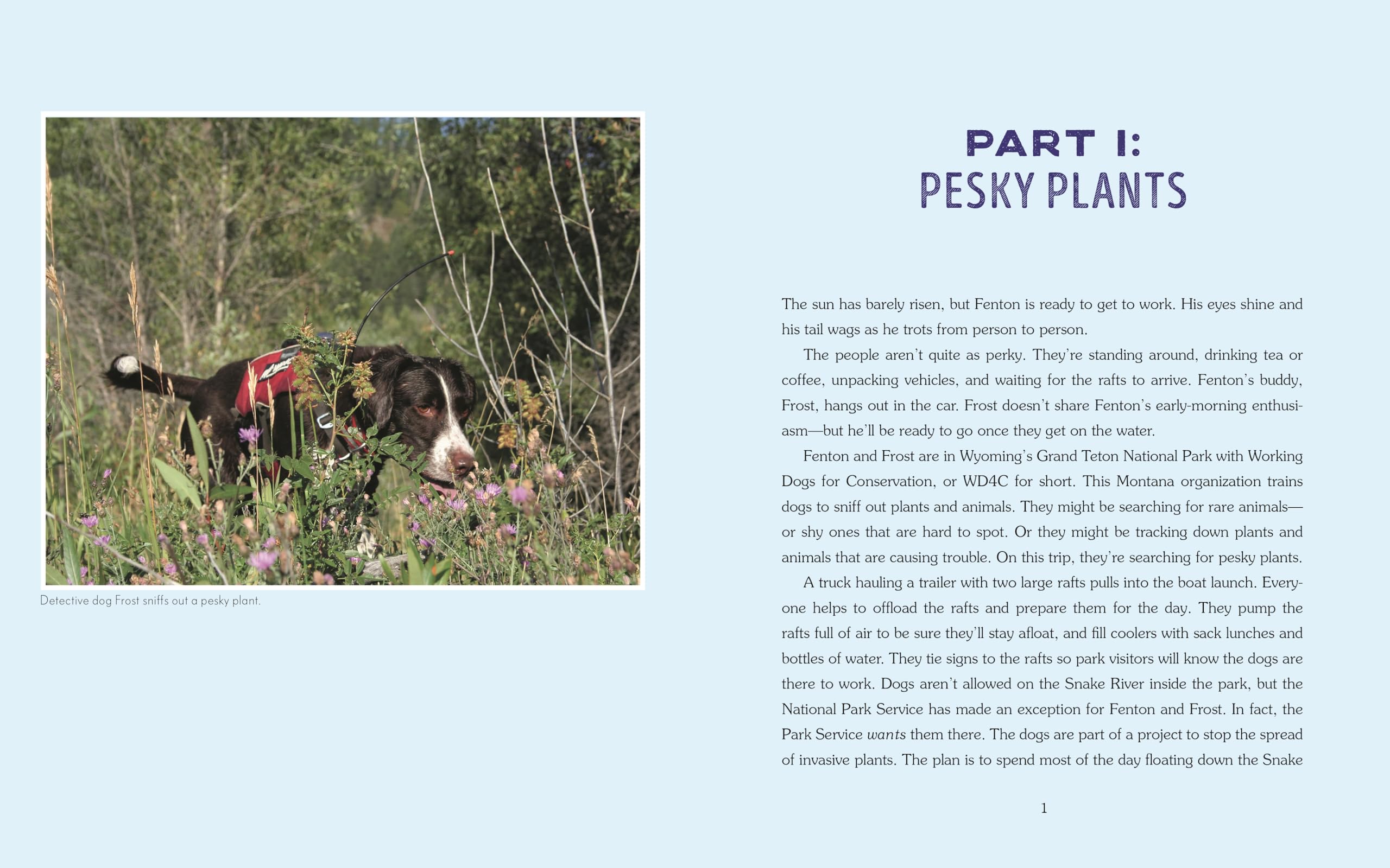 Detective Dogs: How Working Dogs Sniff Out Invasive Species (Books for a Better Earth)