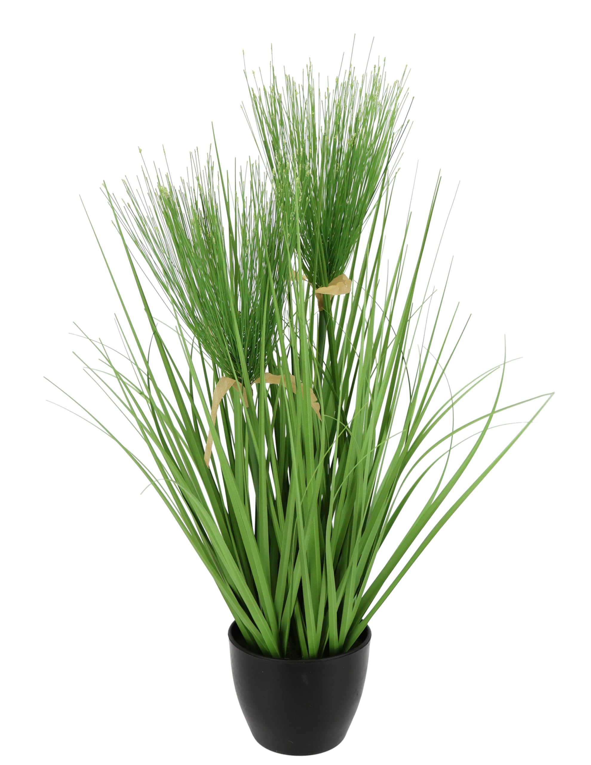 Amazon.de: Flair Flower Zyperngras im Topf Katzengras Grasbusch Gras  Ziergras Dekopflanze knstliches Zyperngras Cyperus Topfpflanze Grnpflanze  Kunstpflanze Knstliche Dekopflanze Staude