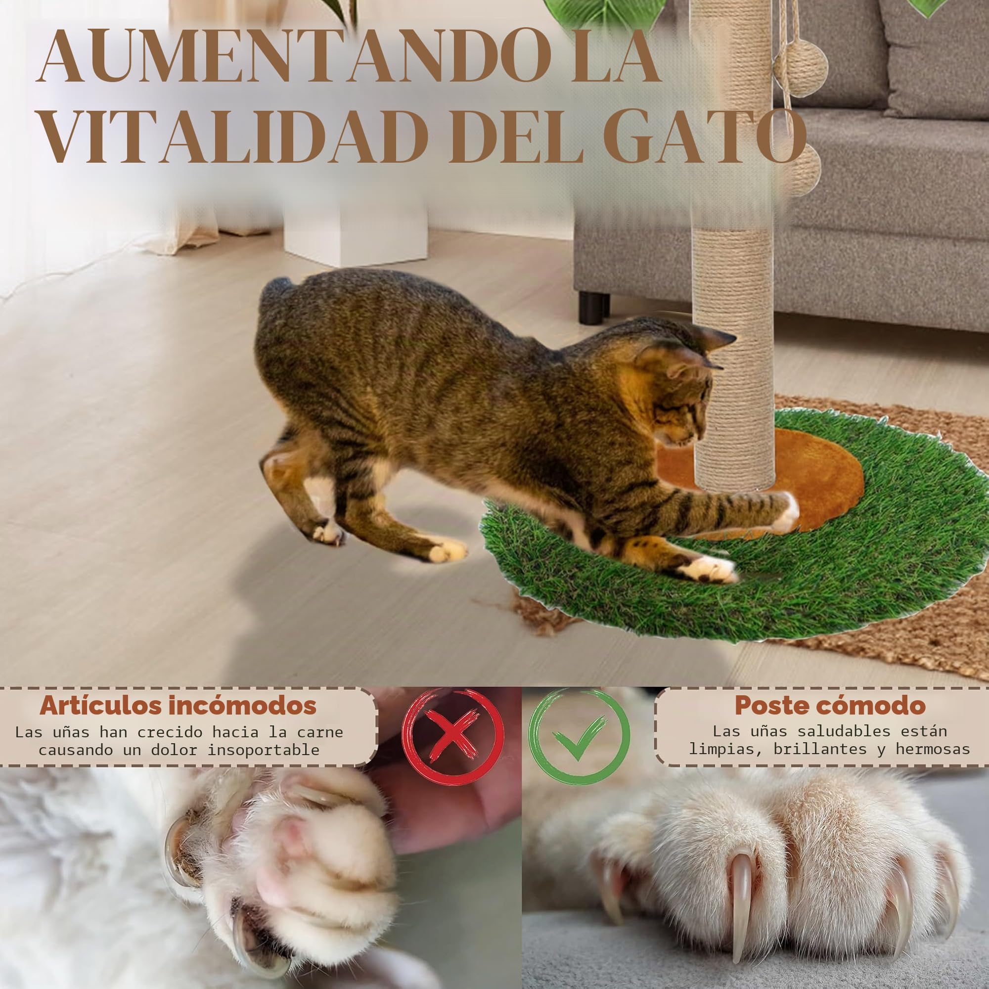 Poste rascador para gatos y gatitos de interior, poste rascador de 60 cm de alto con cuerda de sisal, poste rascador de palmera con bola colgante (60 cm)