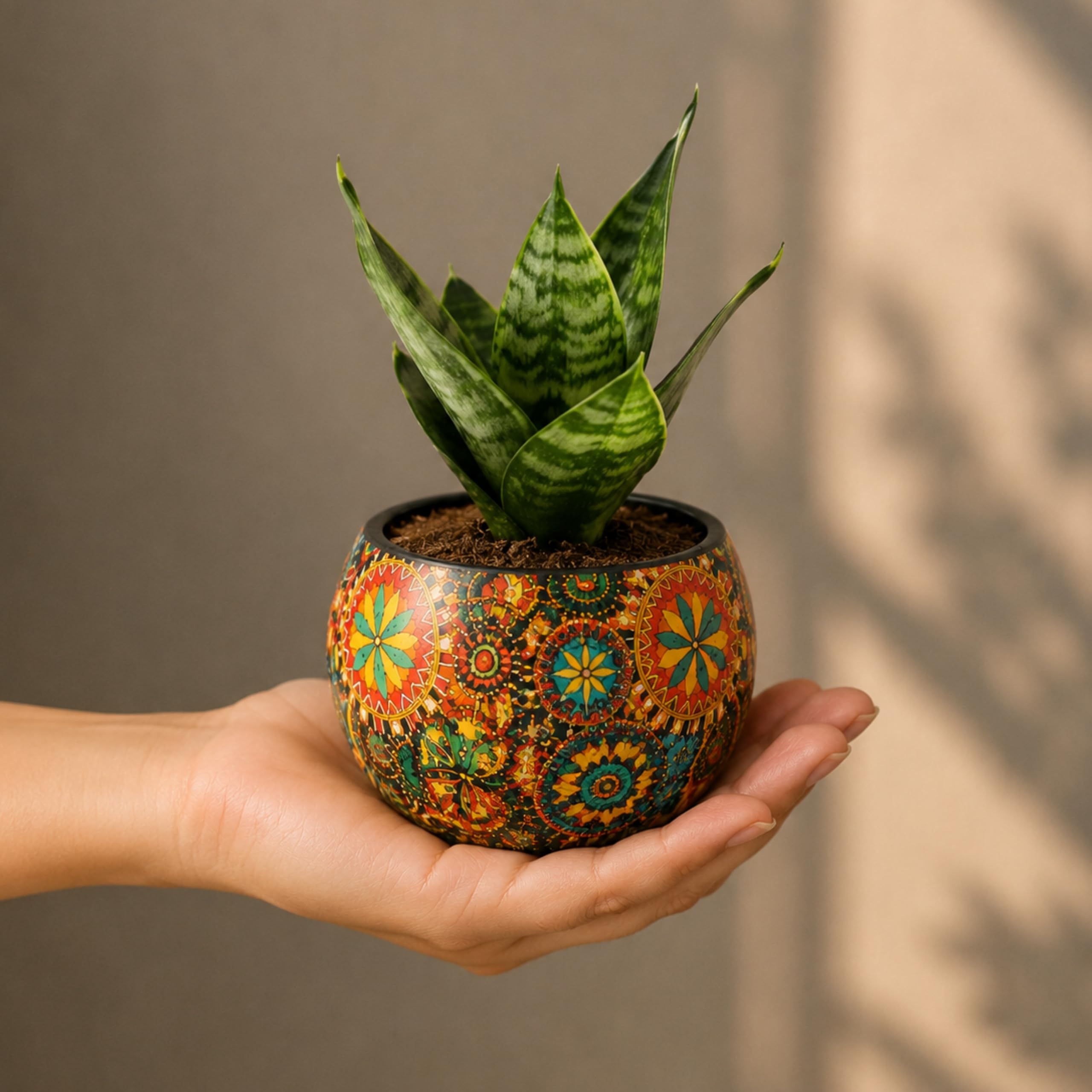 FNP Snake Plant in Rajwada Designer Metal Pot | Live Indoor Air Purifying Plant | Multicolour Floral Paisley Planter | Low Maintenance Home & Office Desk Plant | Small Decorative Gift for Home Décor-image-29