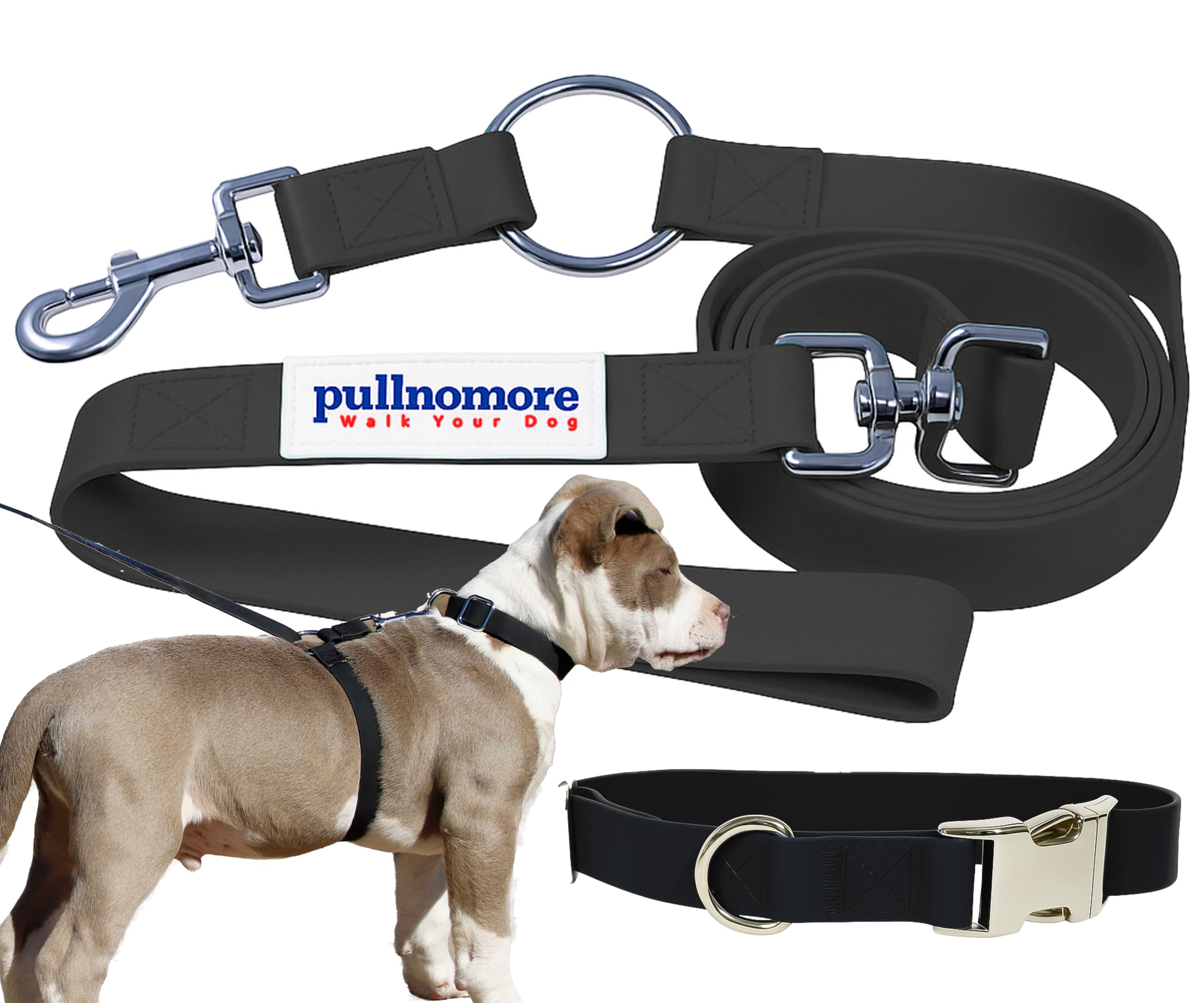 Pullnomore No-Pull Dog Leash and Collar Set, Waterproof Chew Resistant, Training Lead with Matching Collar, Durable PVC Material (Black, Small)