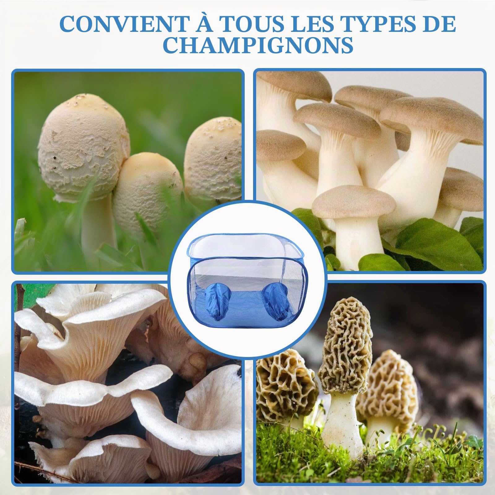 Tente de Culture de Champignons, Portable Pliable Still Air Box avec 2 Ports à Bras Kit de Culture de Champignons à la Maison, PVC Matériau Sac de Culture pour Amateurs de Champignon (Bleu)