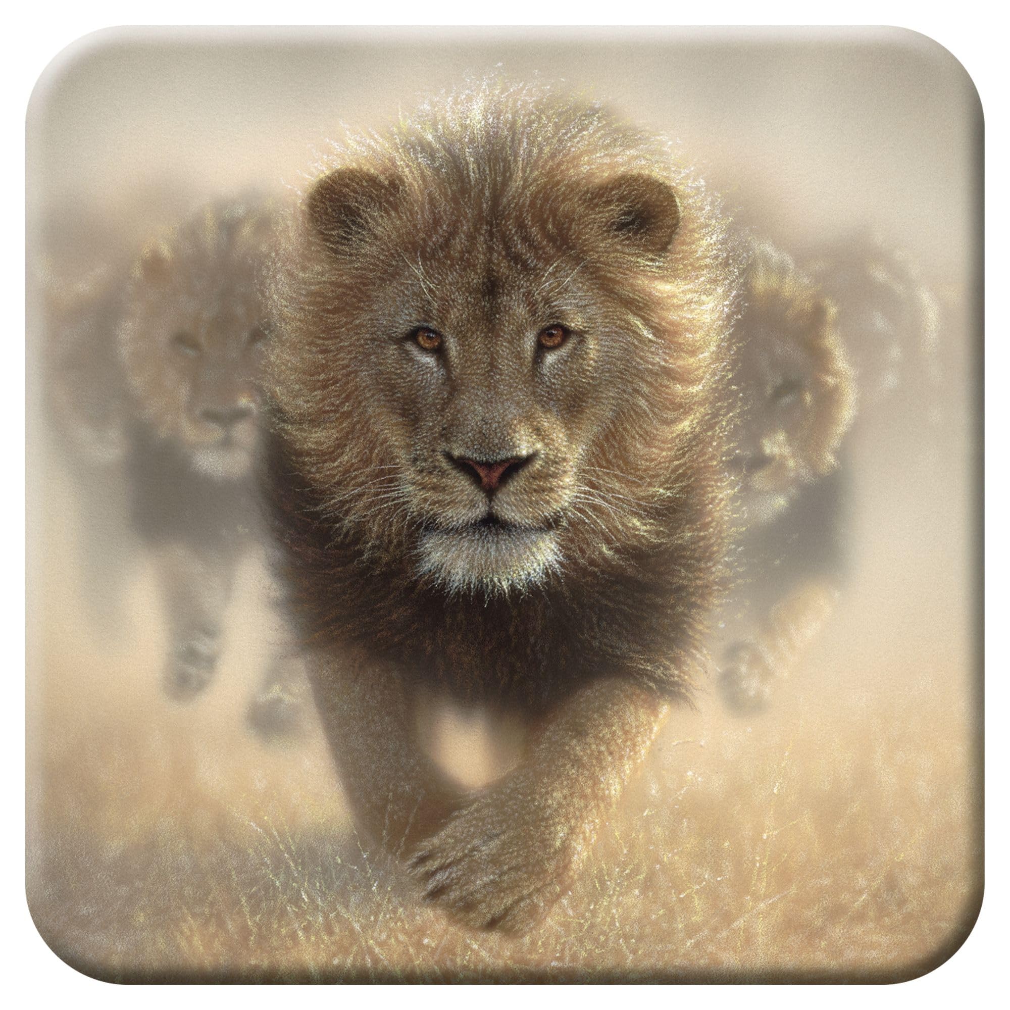 3D Livelife Women's Eat My Dust Cork Coaster - From Deluxebase. Lenticular 3D Lion Drink & Mug Coasters. Fun Animal Gifts For And Men. Novelty Kitchen And Decorative Home Accessories.