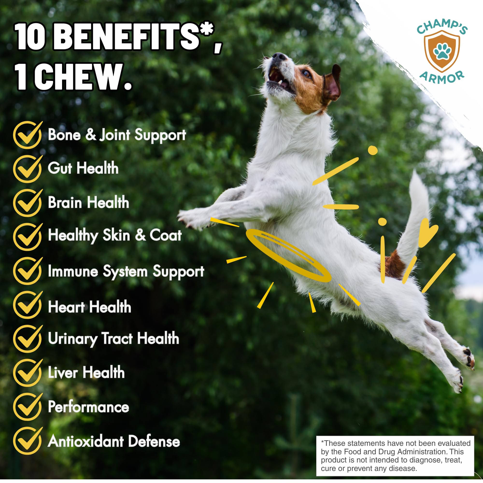 Dog Multivitamin 10-in-1 with Glucosamine - Hip Joint Support, Skin & Coat, Digestive Health, Immune Boost - Salmon Oil, Probiotics, MSM - All Natural Daily Chews for Dogs All Breeds - 120 Count — Amazon image 2