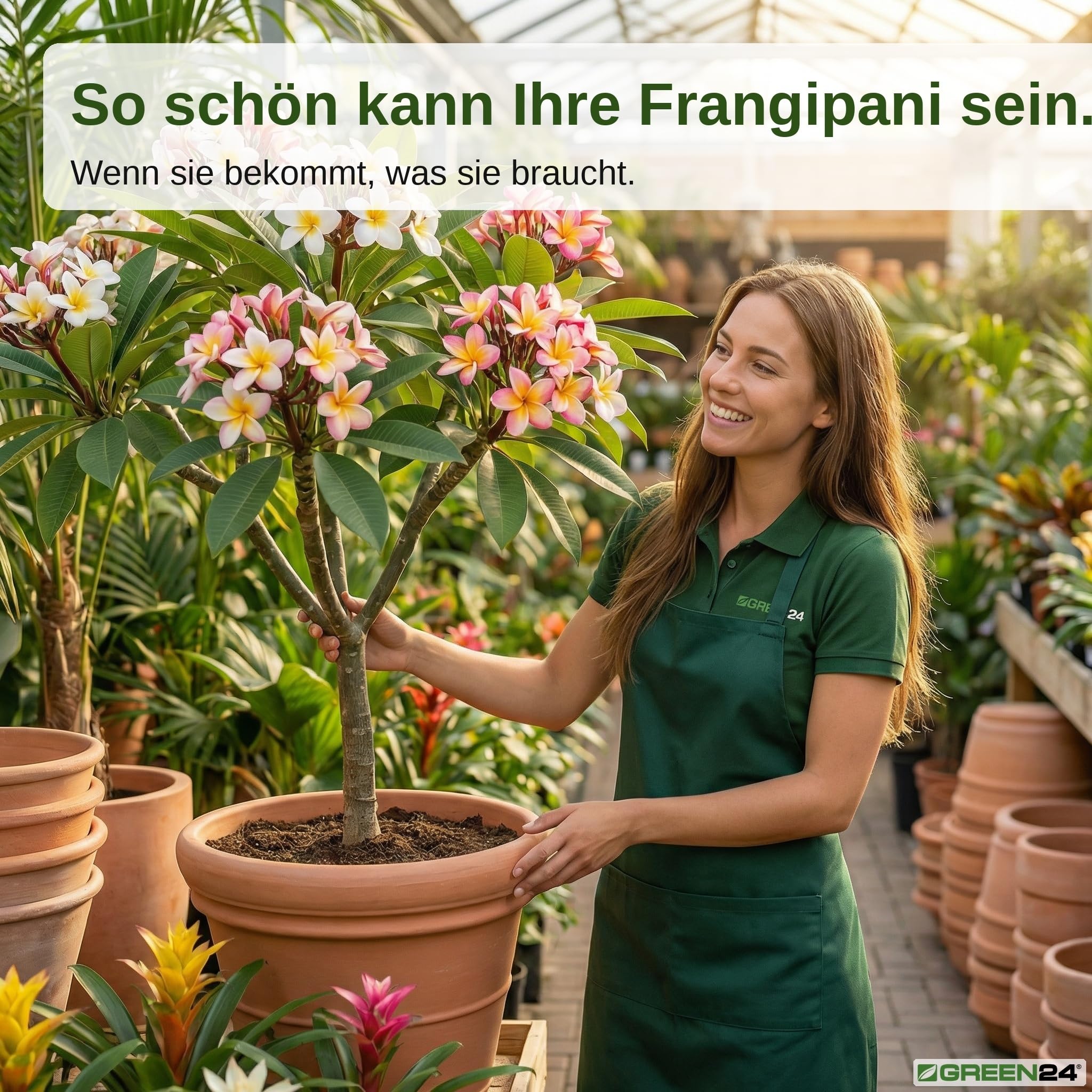 GREEN24 Frangipani-Dünger Hightech Płynny Fertilizer do Plumerie Frangipane