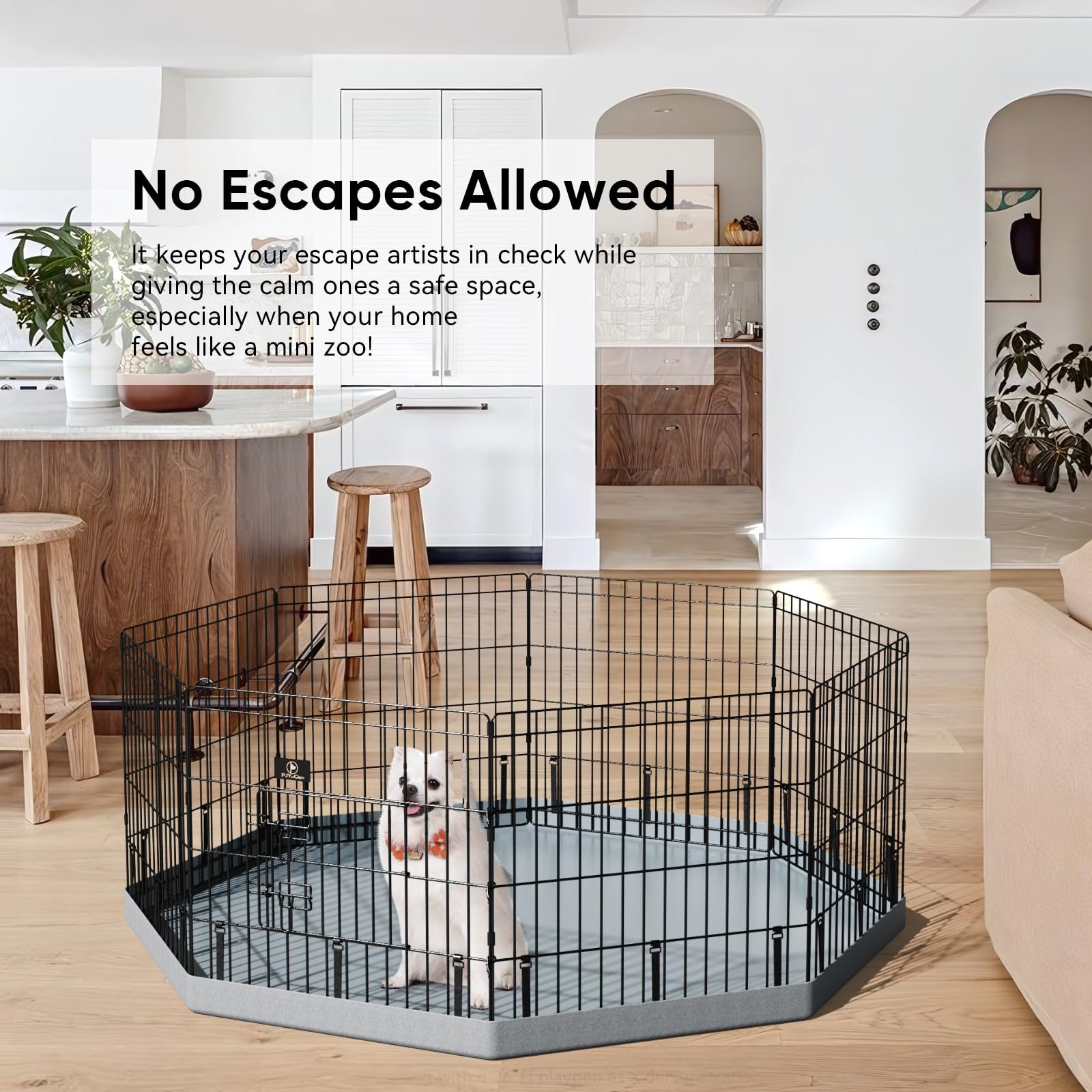 https://m.media-amazon.com/images/I/81ECpylfa+L.jpg