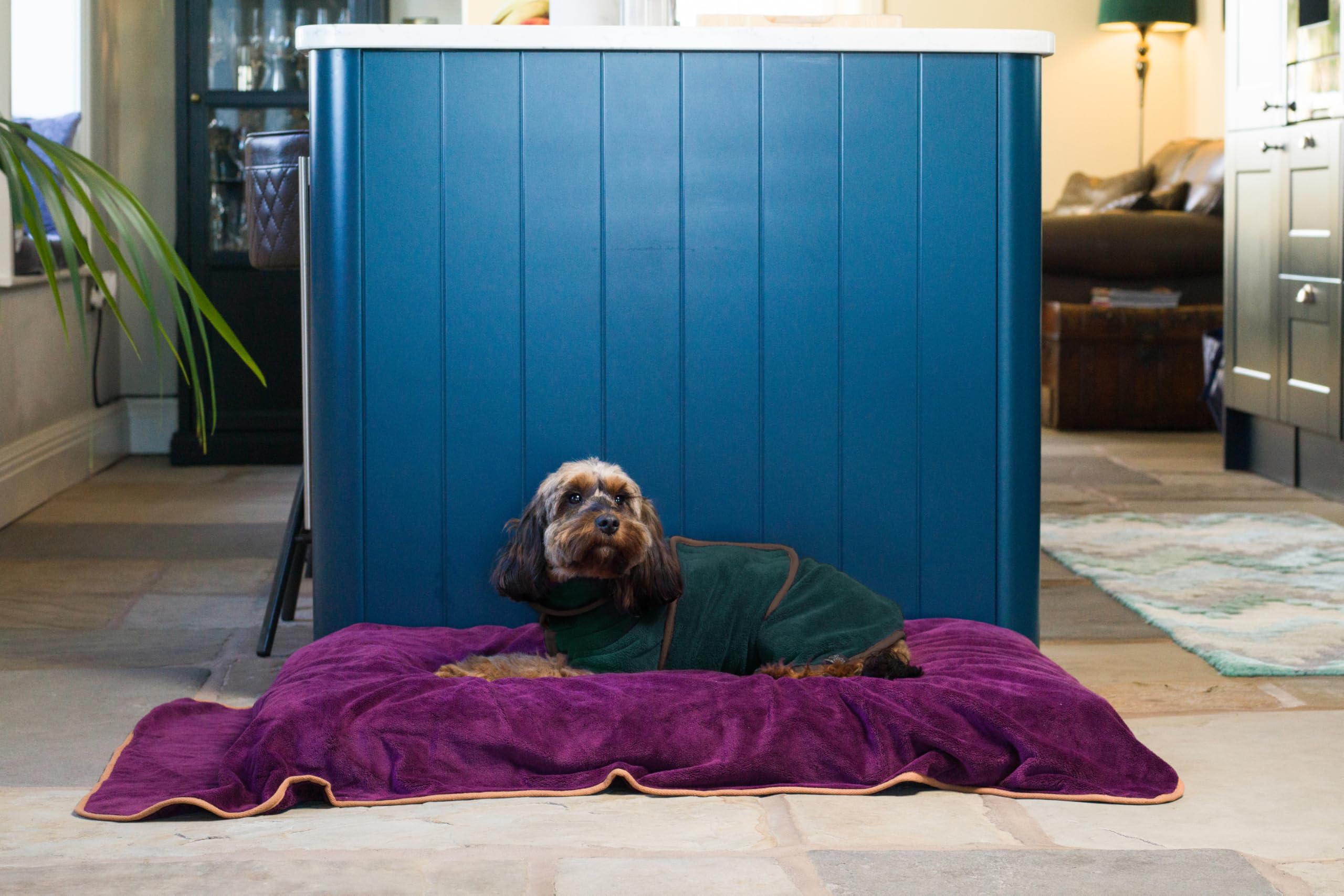 Lucky Paws® UK Dog Drying Coat, Luxurious Double Layer Dog Towel Robe, Dry Your Dogs in Minutes - Image 3