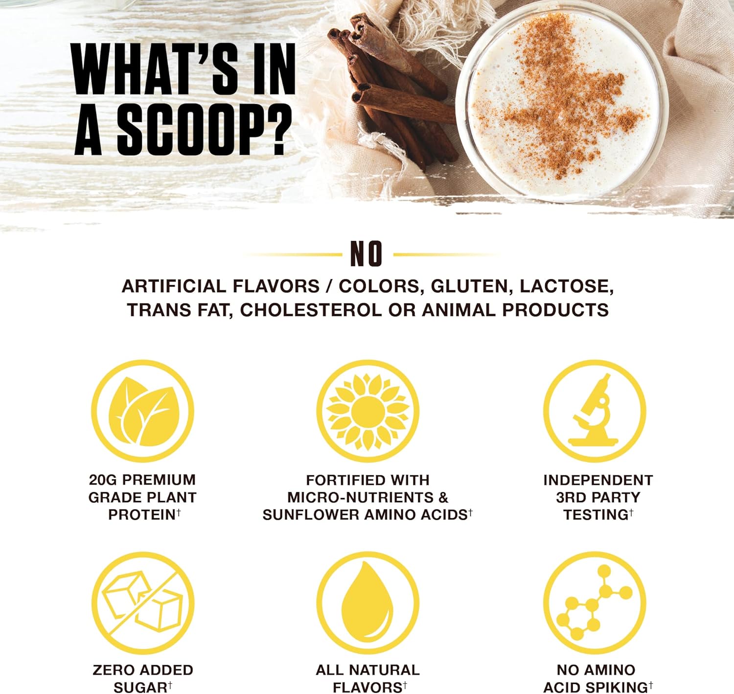 Ambrosia Planta - Premium Plant-Based Protein | Vegan & Keto Friendly | Gourmet Flavors with No Bloating or Stomach Upset | Gluten & Soy Free | No Added Sugar | 14 Servings | (Cinnamon Roll) - Image 4