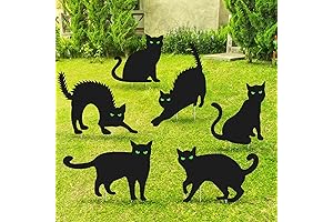 6 Pcs Black Cat Halloween Decor Signs