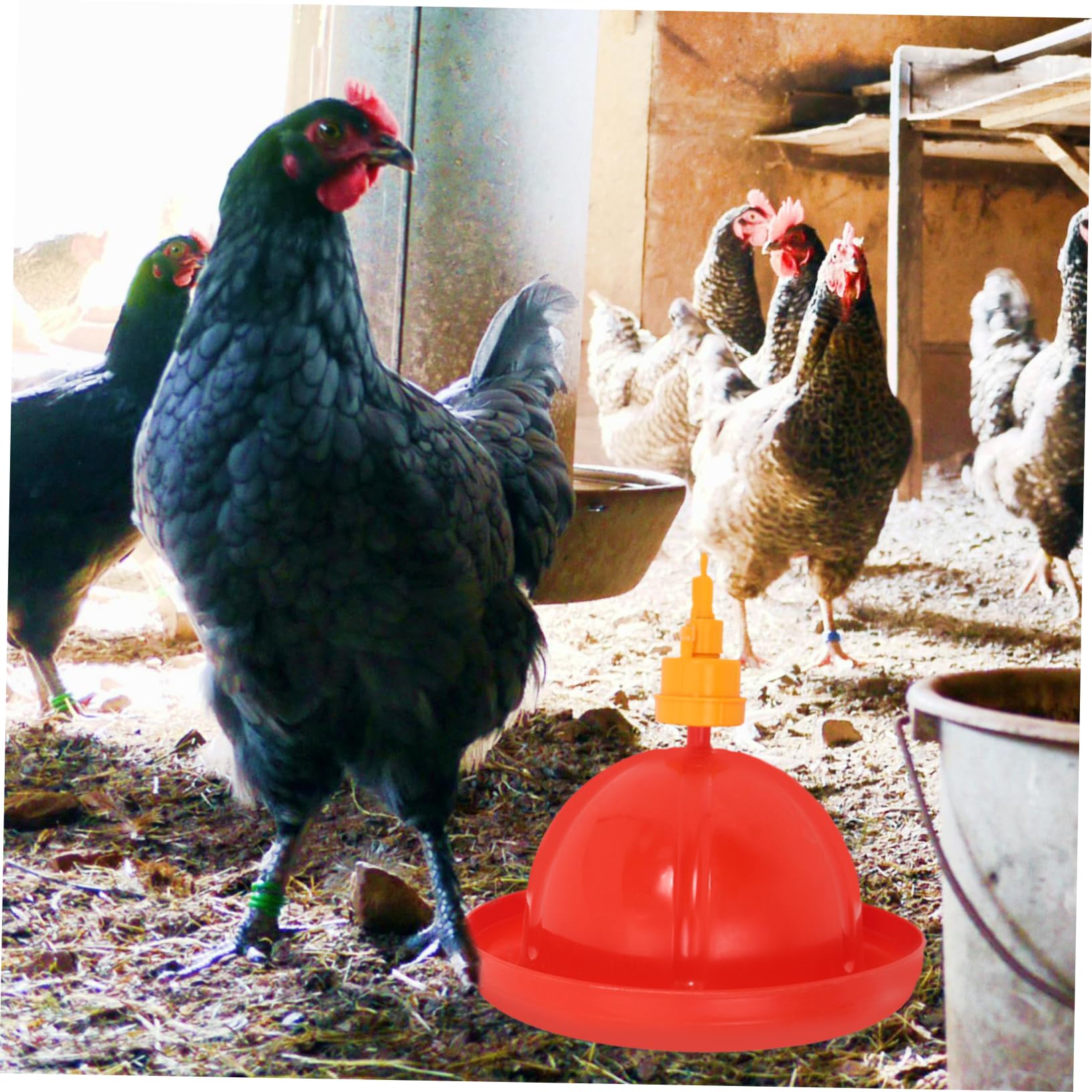 Abbeveratoio Automatico per Anatre e Oche, in Pp Rosso | Livello Acqua Regolabile, Installazione Semplice, Contenitore Peso Integrato, Uso in Allevamento Avicolo