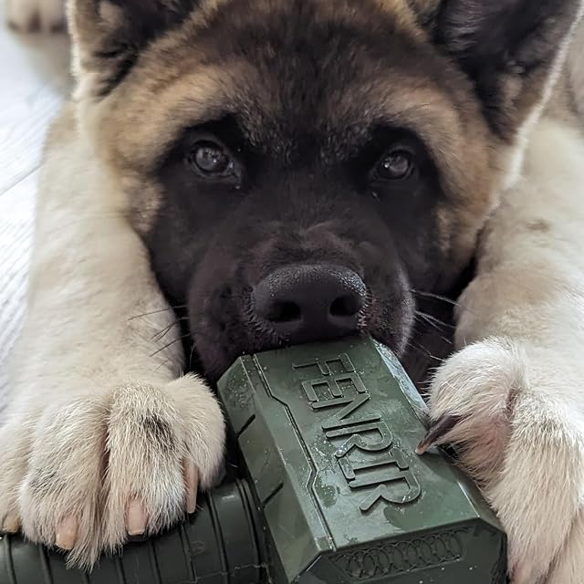 Foto 7 de 7 de Fenrir Hammer - Juguete masticable (grande, verde)