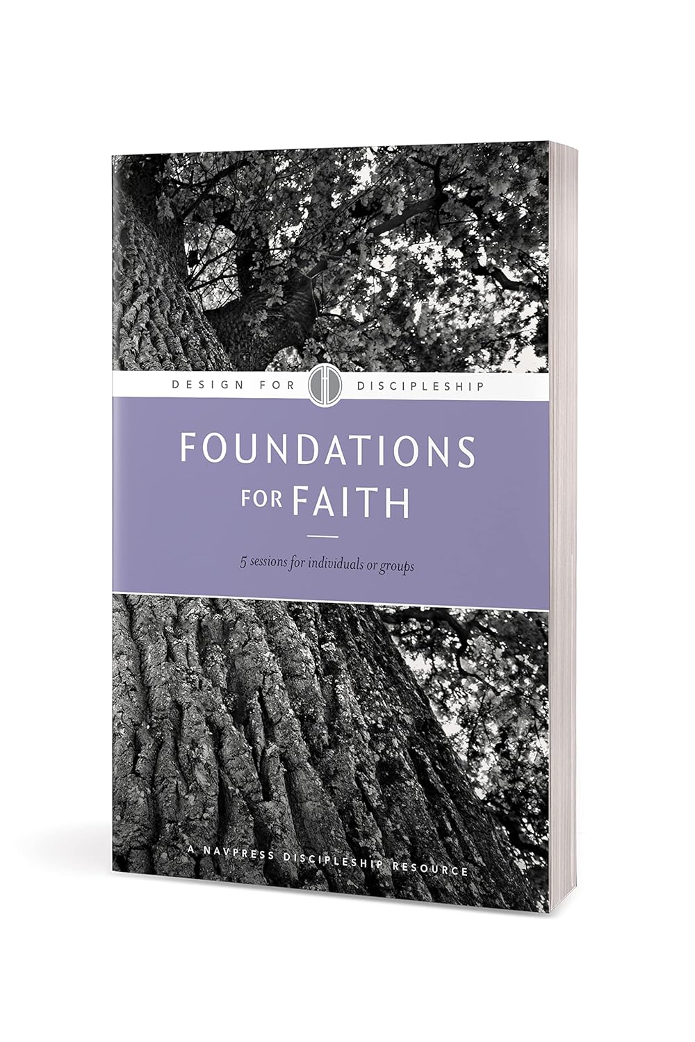 Foundations for Faith (Design for Discipleship) - Image 3