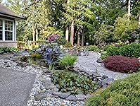 Review Image by E.J E.J