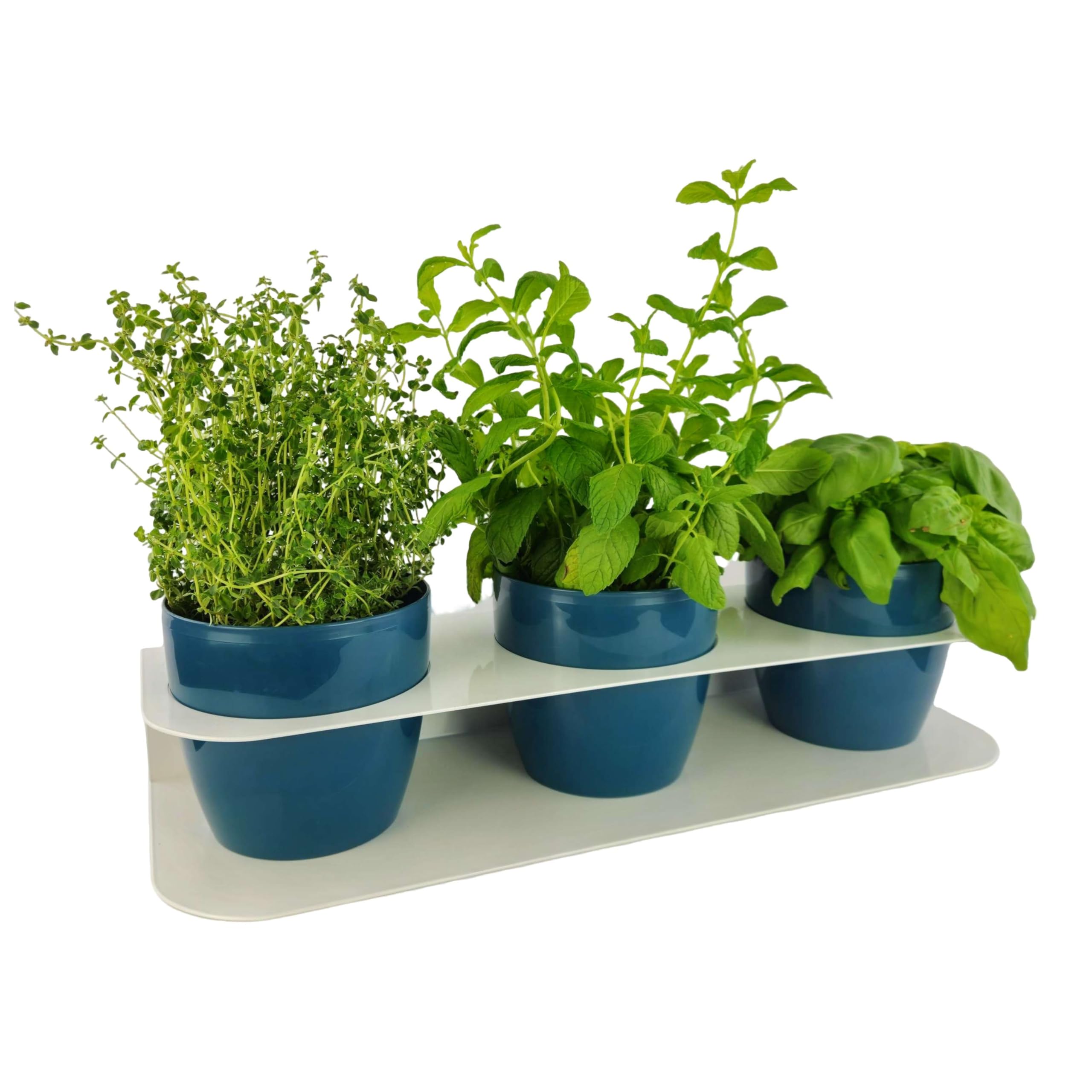 Tecnokit Porta Piante Aromatiche Metallo Design Moderno da Banco o Muro con 3 Vasi Tera Inclusi Ø16cm - Fioriera Interno Esterno Resistente UV 58x18x10cm (BIANCO/DENIM)