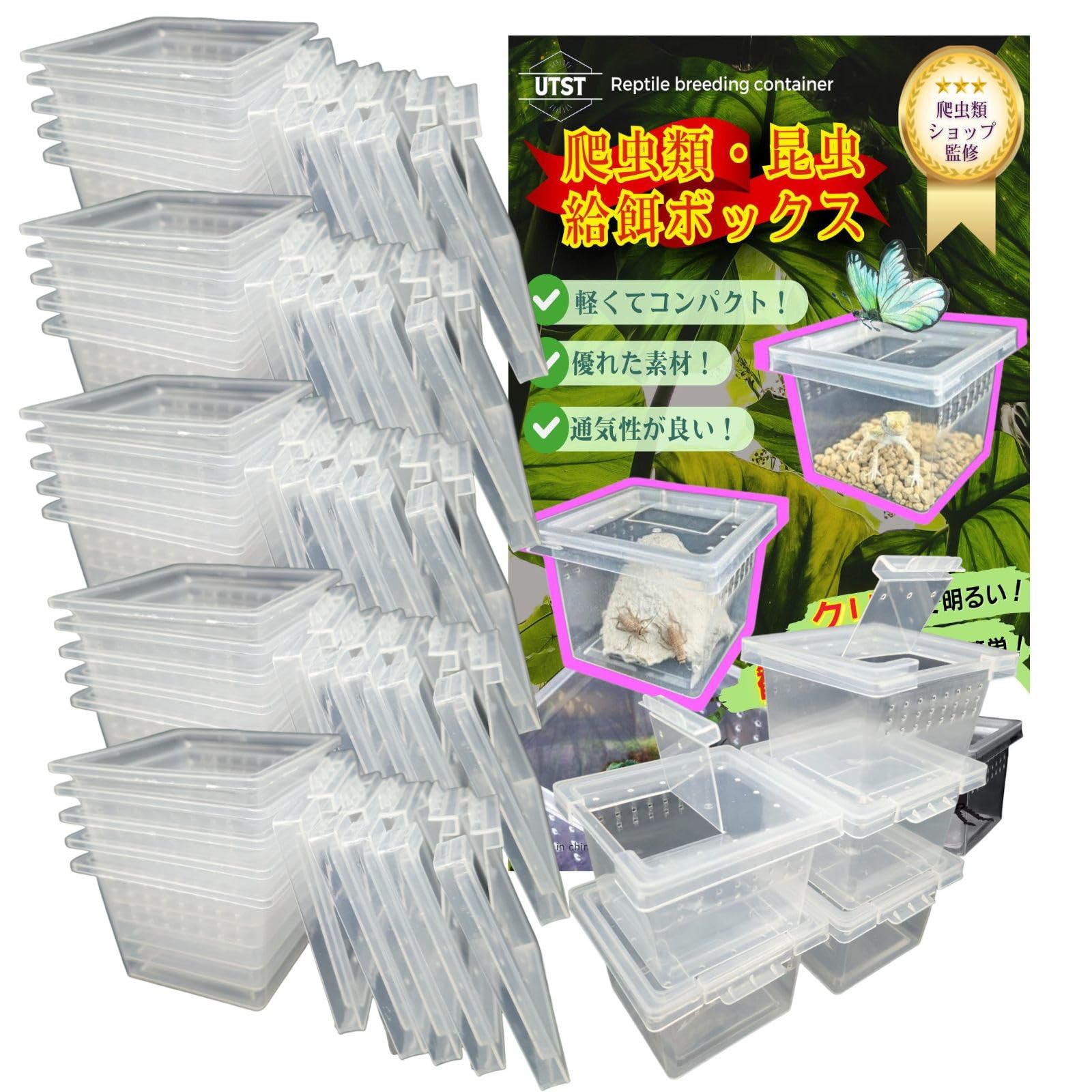 Amazon | UTST 昆虫飼育ケース 小型 コンテナ ボックス 空気穴付き