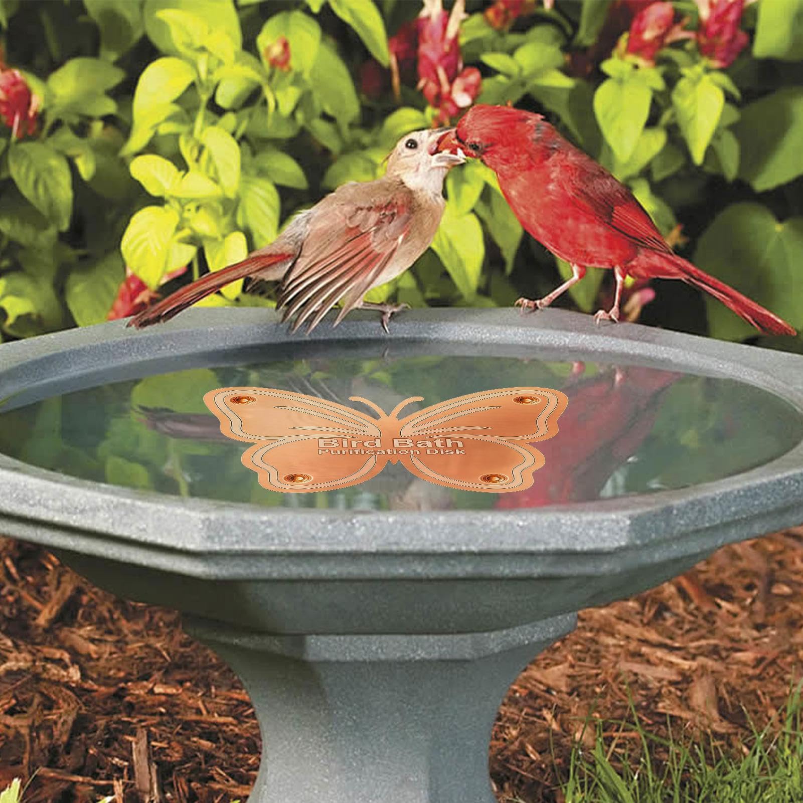 Generisch Disco de cobre para la limpieza, cobre universal en forma de animal, disco de limpieza para bebederos de pájaros, adecuado para jardín, patio, terraza, balcón, césped y pastizales