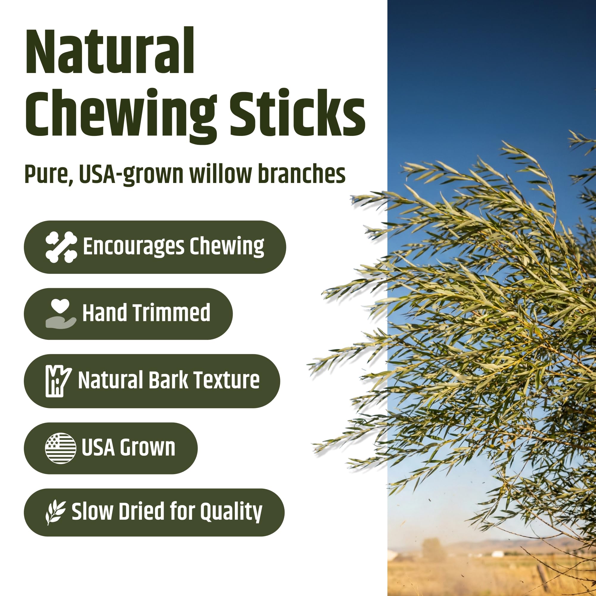 High Desert Willow Chew Sticks for Rabbits Natural Willow Branch Treat for Bunnies Guinea Pigs Chinchillas Hamsters USA Grown Chews Small Pet Supplies for Digestive Health and Dailt Enrichmen product thumbnail 3