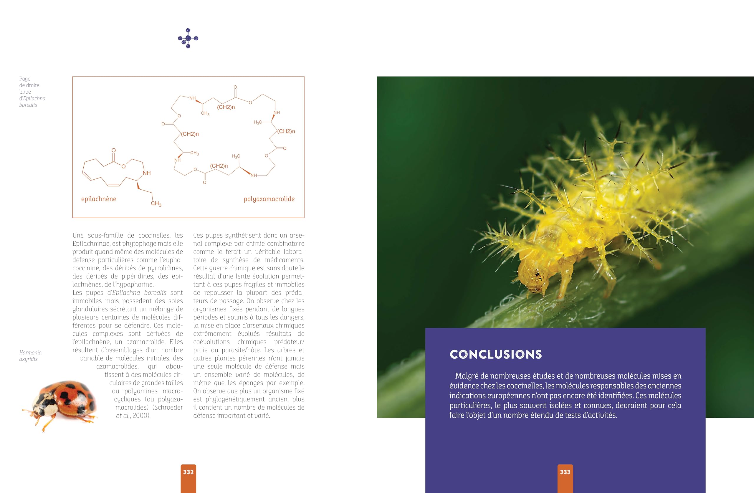 L'insecte médicinal